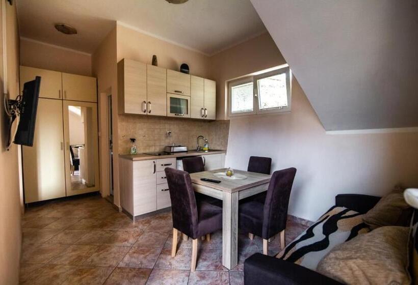 اتاق لوکس, Petrovic Apartmani