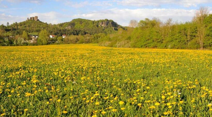 Апартаменты 2 Спальни, Typ B4