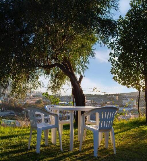Номер Дюплекс, Seven Garden Alhada Suites