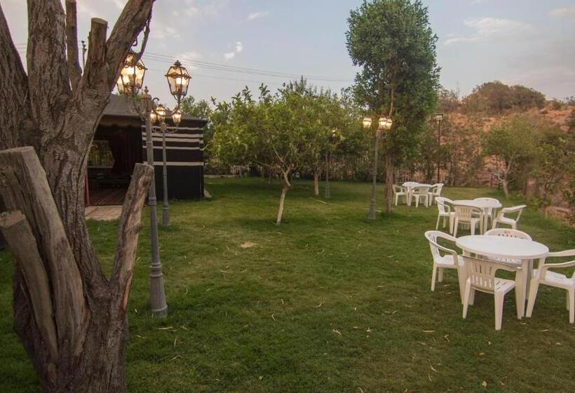 غرفة دوبلكس, Seven Garden Alhada Suites
