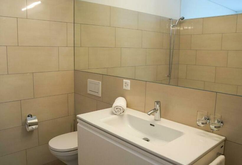 شقة سوبريور غرفة واحدة, Zug Downtown Apartments