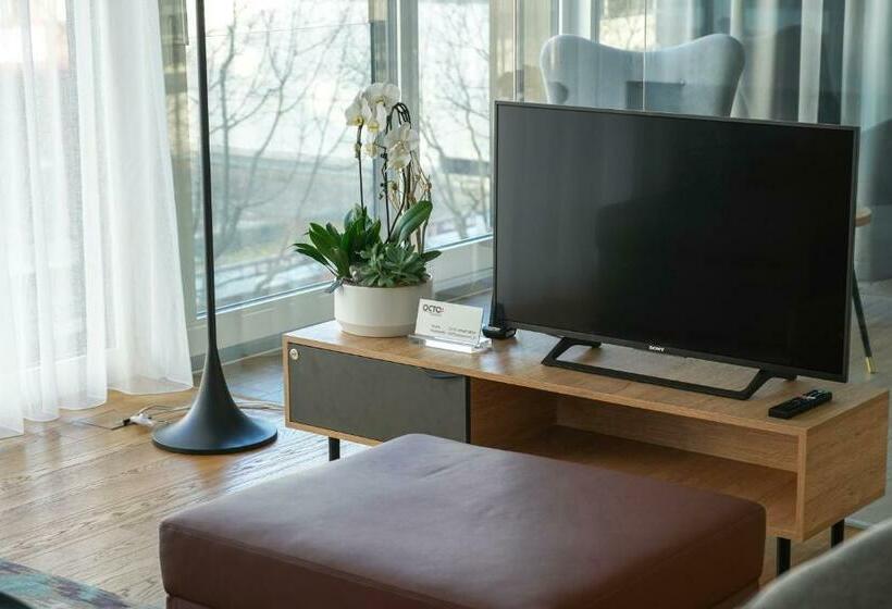 شقة سوبريور غرفة واحدة, Zug Downtown Apartments