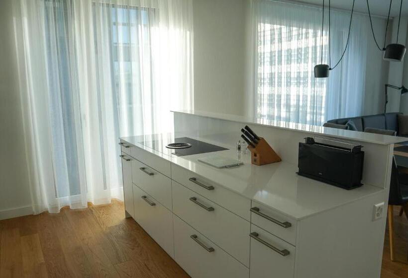 شقة سوبيريور غرفتين, Zug Downtown Apartments