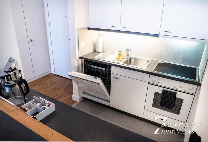 شقة غرفتين, Zug Downtown Apartments