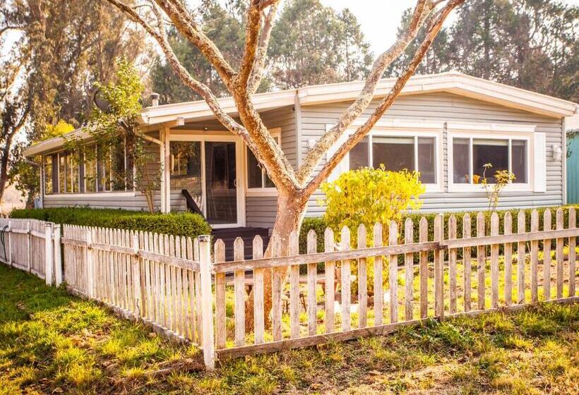 침실 2개 주택, Cozy Country Cottage In Sebastopol Cottage