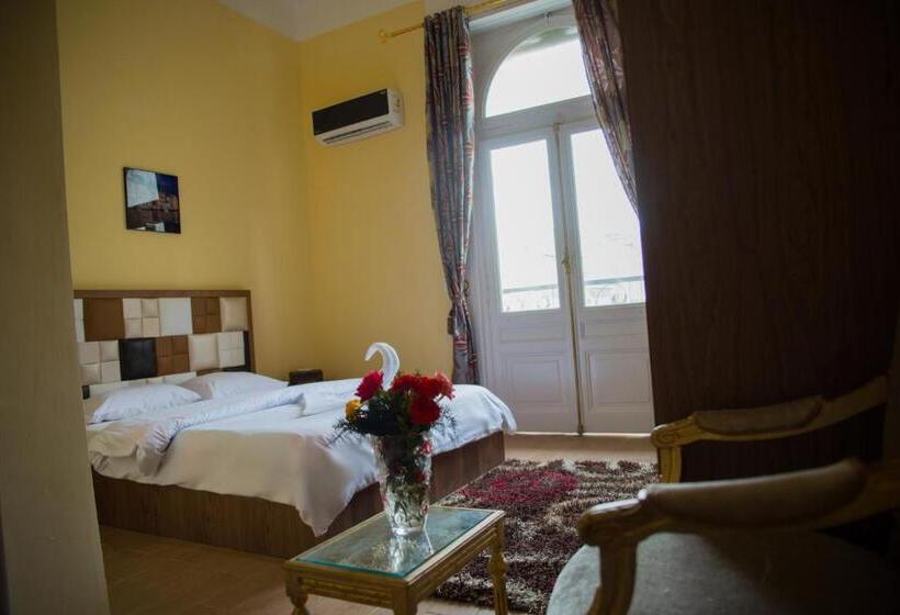 اتاق سوپریور با تخت بزرگ, New Grand Royal Hotel Cairo