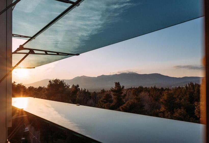 غرفة تنفيذية, Life Gallery Athens