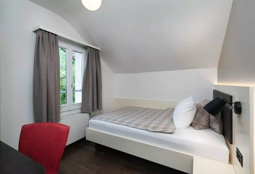 اتاق استاندارد یک نفره, Derby Interlaken   Action & Relax Hub