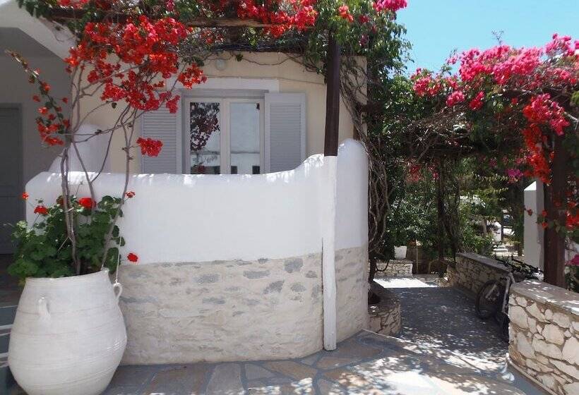 스탠다드 싱글 룸, Manos