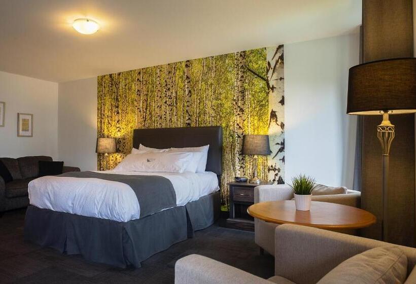 스탠다드 룸 퀸사이즈 침대, L Auberge Du Lac St Pierre