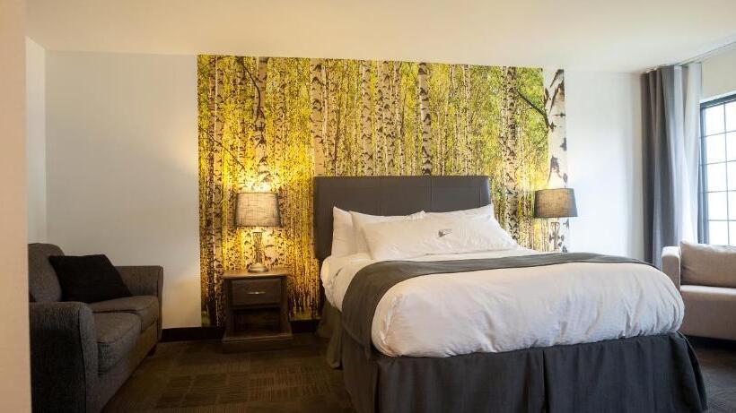 اتاق استاندارد با تخت دو نفره بزرگ, L Auberge Du Lac St Pierre