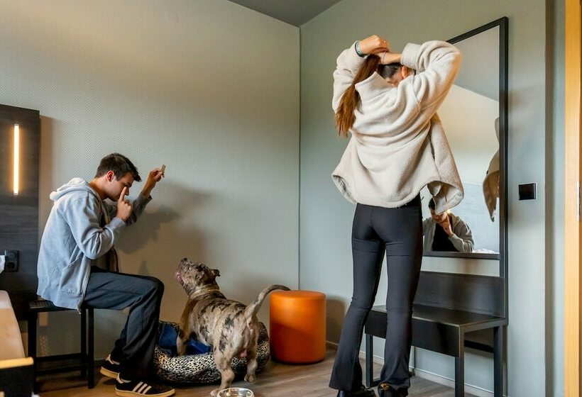 اتاق استاندارد, a&o Berlin Kolumbus