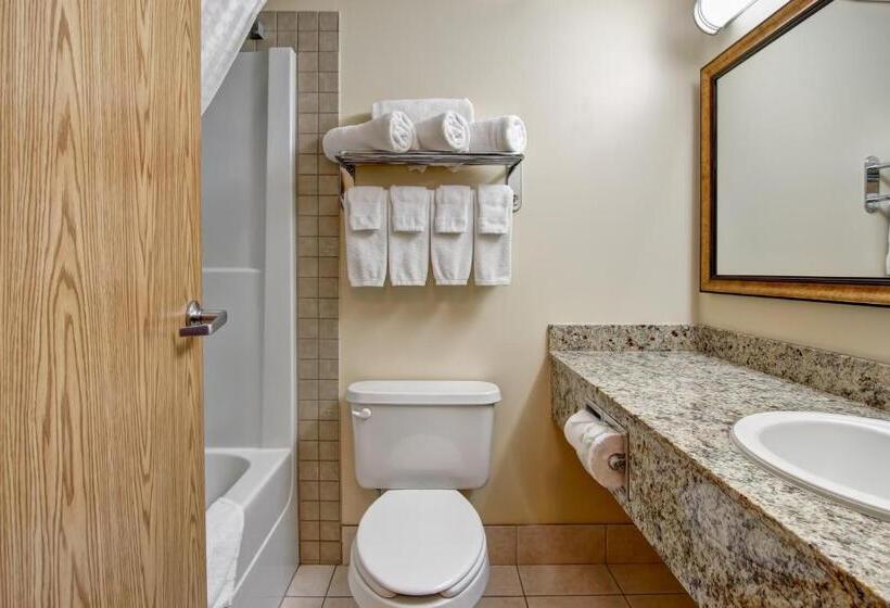 חדר סטנדרט עם מיטת קינג, Canalta Rocky Mountain House