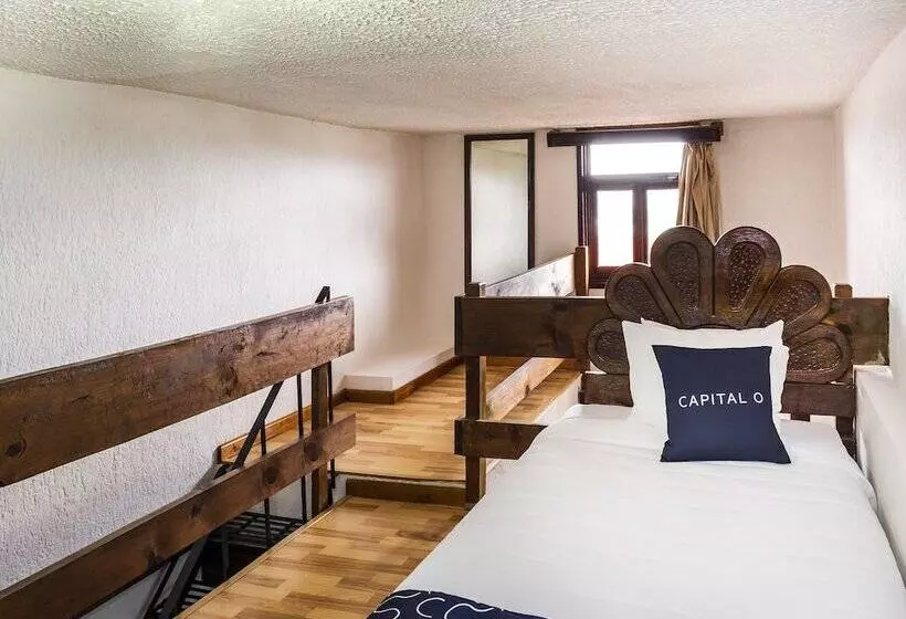 エコノミー４人部屋, Capital O Hotel Central, Xalapa