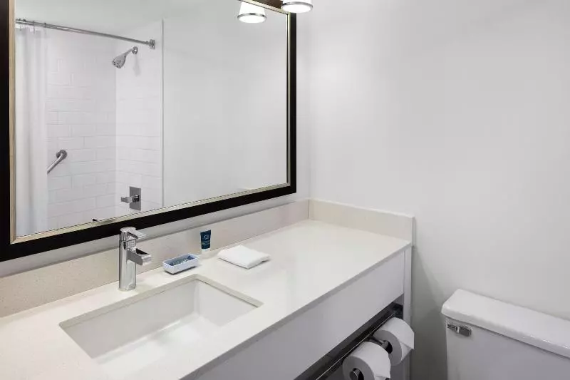 اتاق استاندارد با تخت بزرگ, Four Points By Sheraton Edmonton South