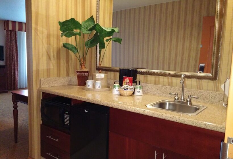 Студия Стандарт, Hampton Inn & Suites Albuquerque Coors Road