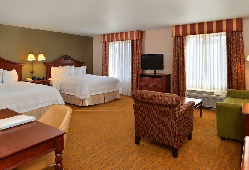 Студия Стандарт, Hampton Inn & Suites Albuquerque Coors Road