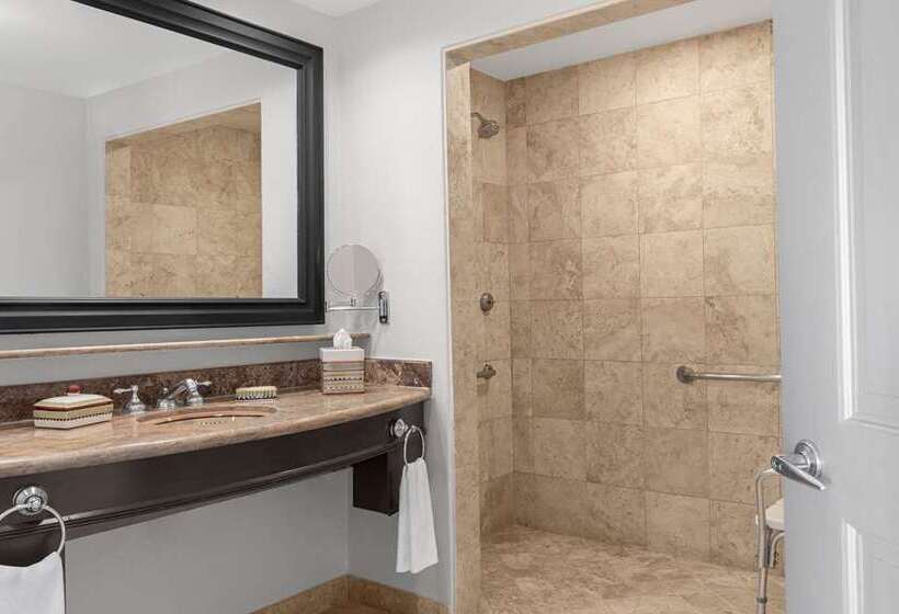 适用于残疾人士的豪华房间, Hilton Los Cabos