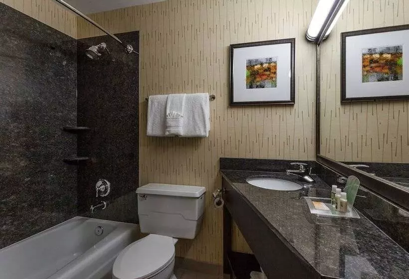 ダブルベッドスタンダードルーム, Holiday Inn Chicago North Evanston, An Ihg