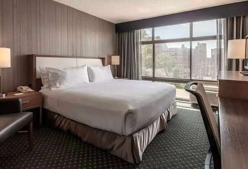 ダブルベッドスタンダードルーム, Holiday Inn Chicago North Evanston, An Ihg