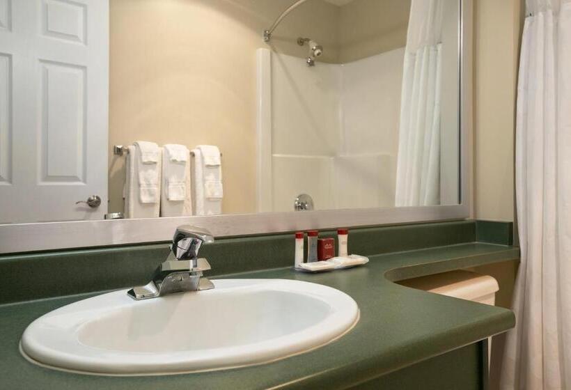 חדר סטנדרט עם מיטת קינג, Ramada Merritt