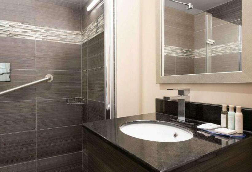 חדר סטנדרט עם מיטת קינג, Ramada Plaza By Wyndham Montreal