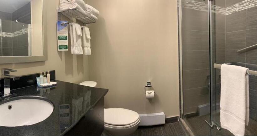 スタンダードルーム, Ramada Plaza By Wyndham Montreal