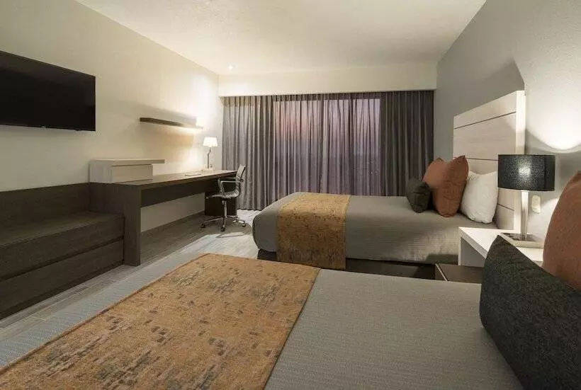 اتاق لوکس, Real Inn San Luis Potosí