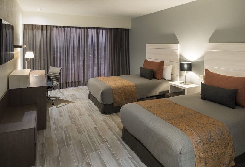 اتاق لوکس, Real Inn San Luis Potosí