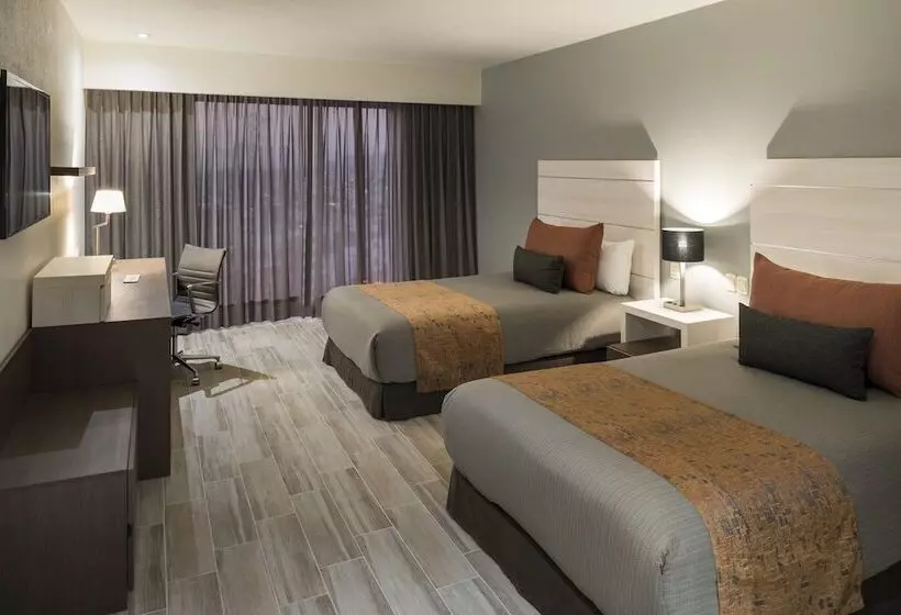 اتاق لوکس, Real Inn San Luis Potosí