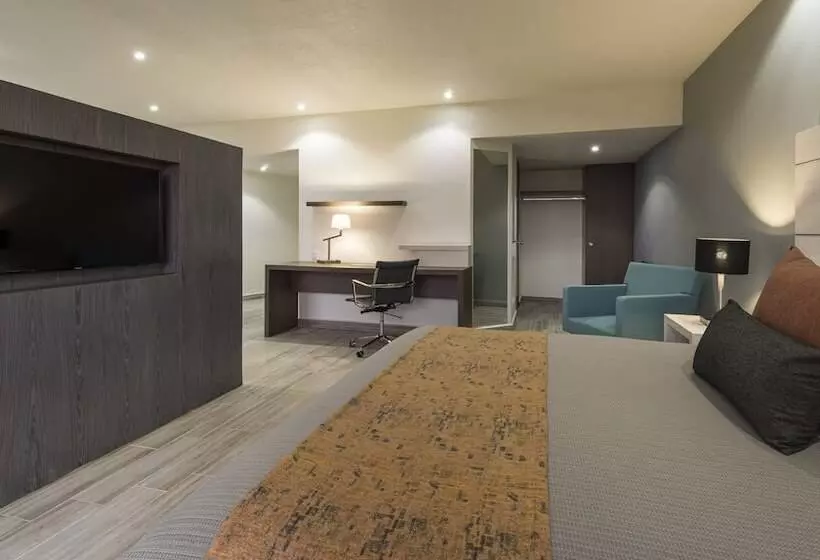 سوییت جونیور, Real Inn San Luis Potosí