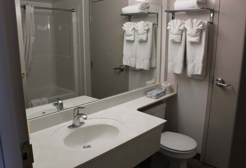 חדר סופריור, Divya Sutra Plaza And Conference Centre Calgary Airport