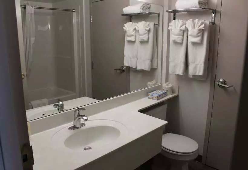 اتاق سوپریور, Divya Sutra Plaza And Conference Centre Calgary Airport