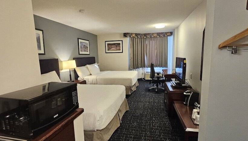 高级大房间, Divya Sutra Plaza And Conference Centre Calgary Airport