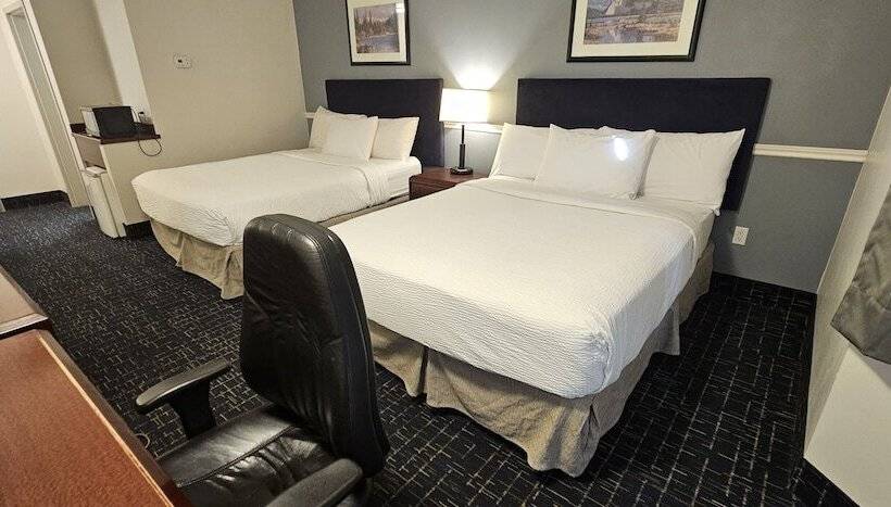 חדר סופריור, Divya Sutra Plaza And Conference Centre Calgary Airport