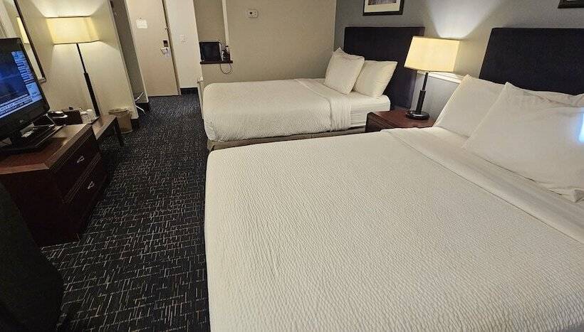 Номер Superior, Divya Sutra Plaza And Conference Centre Calgary Airport