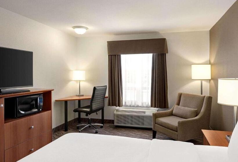 キングサイズベッドのスタンダードルーム, Super 8 By Wyndham Calgary Shawnessy Area