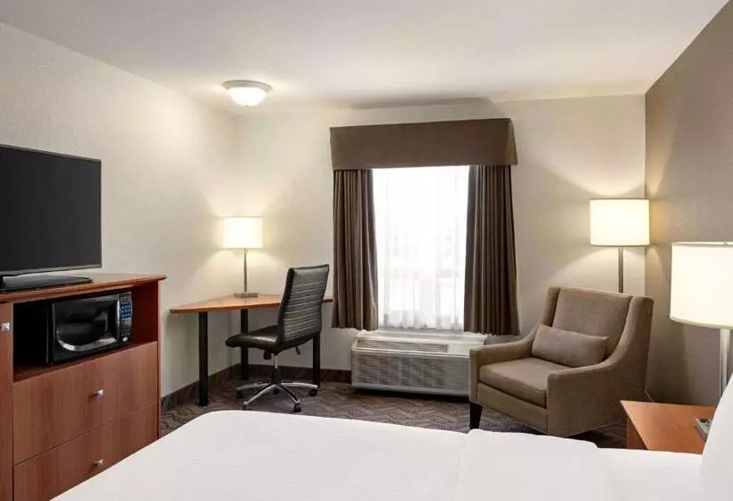 キングサイズベッドのスタンダードルーム, Super 8 By Wyndham Calgary Shawnessy Area