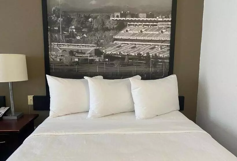身障者適用スタンダードルーム, Super 8 By Wyndham Calgary Shawnessy Area