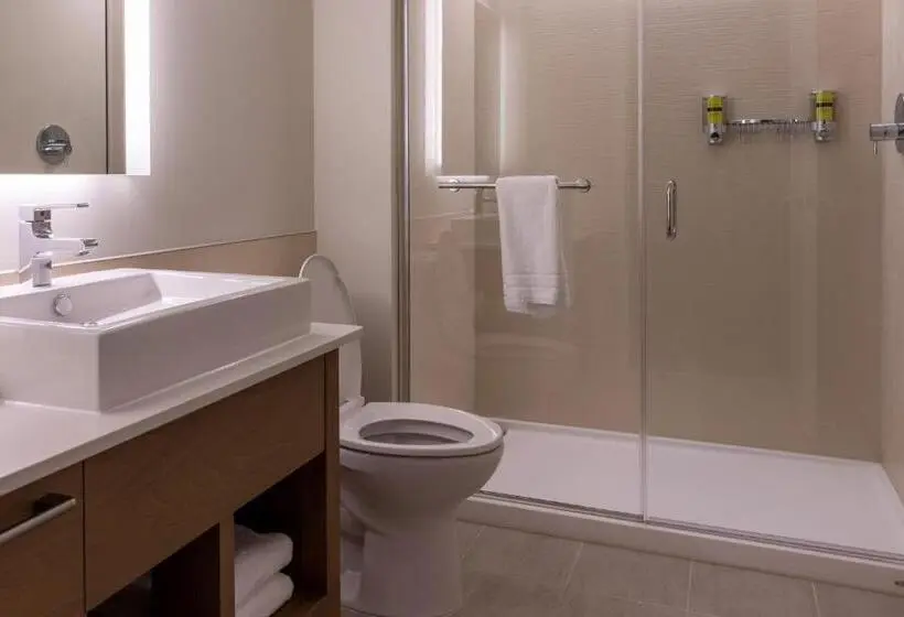 Executive-sviitti King-vuode, Element St. Louis Midtown