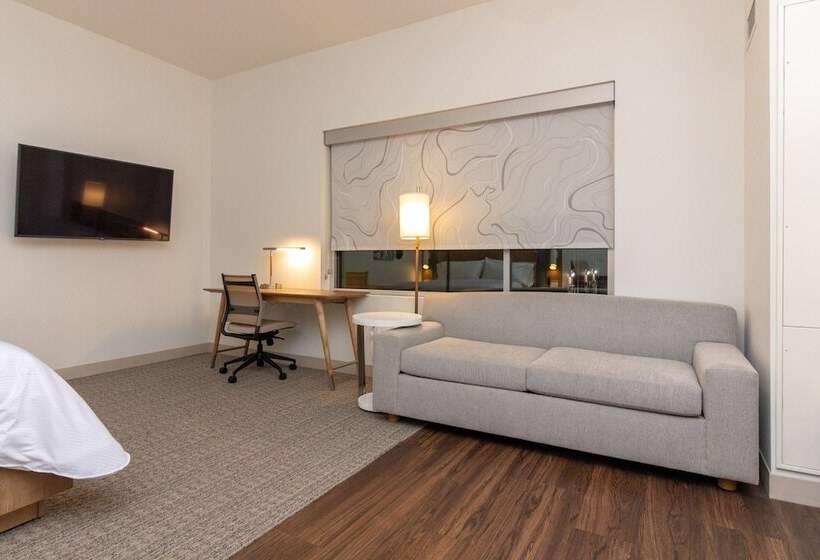 חדר סטודיו סטנדרד, Element St. Louis Midtown