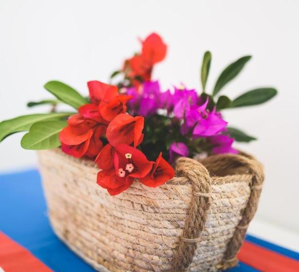 חדר סטנדרט, Parco Augusto