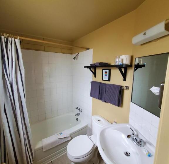 غرفة قياسية فردية, Bio Vista Motel