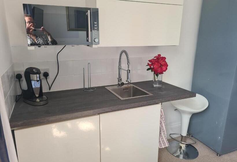 إستوديو قياسى مطلّ علي الحديقة, Clarence House Shanklin