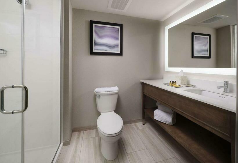 스위트 킹사이즈 침대, Best Western Plus Desoto