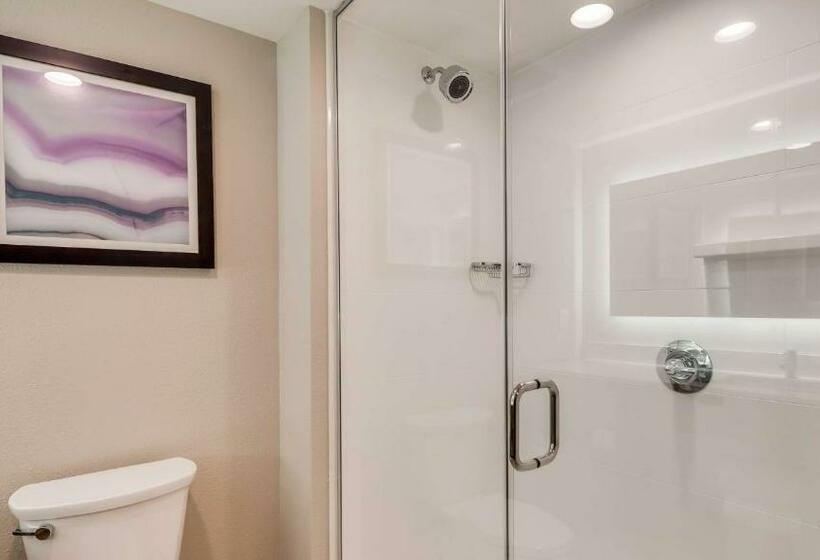 キングサイズベッドのスタンダードルーム, Best Western Plus Desoto