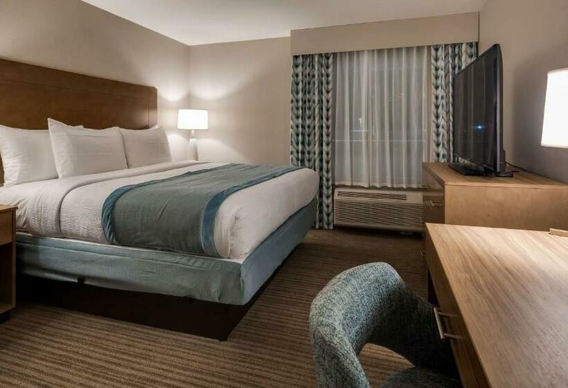 身障者適用キングサイズベッドルーム, Best Western Plus Desoto
