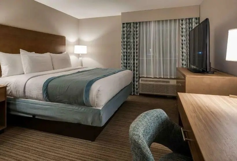 身障者適用キングサイズベッドルーム, Best Western Plus Desoto