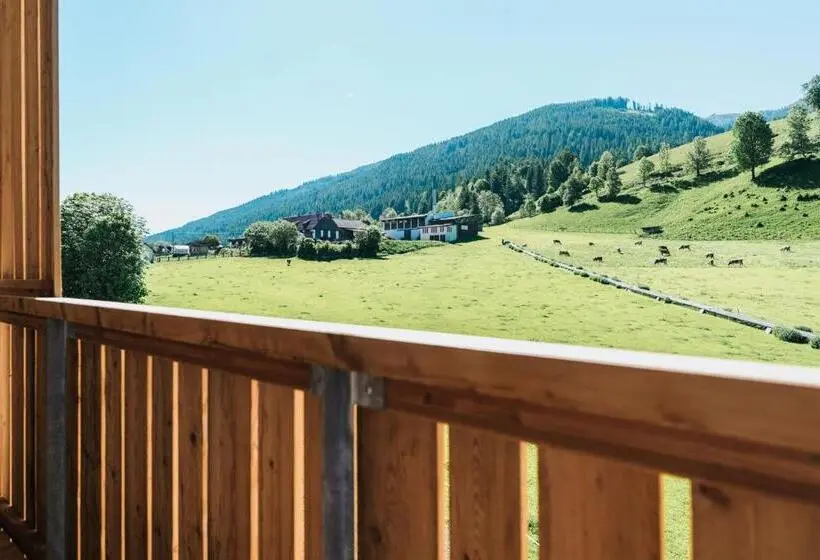 اتاق استاندارد با چشمانداز کوهستان, Cooee Alpin Hotel Bad Kleinkirchheim