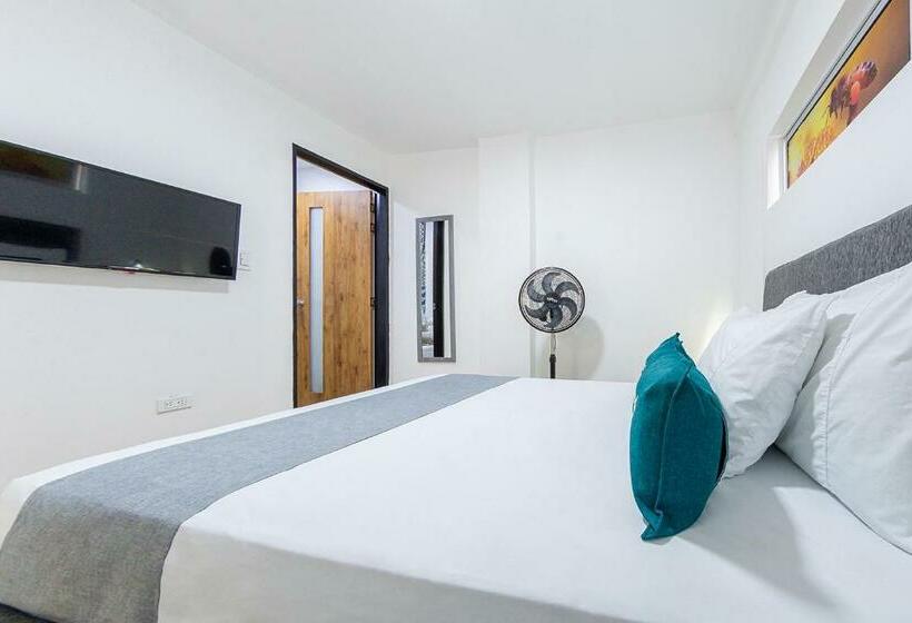 اتاق اکونومی, Ayenda Bee